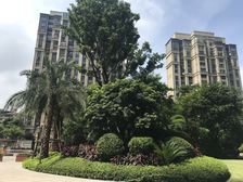 阳光凡尔赛宫B3区 3室2厅 南