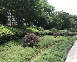 此房满五年边套户型精装修不沿马路视野开阔采光好