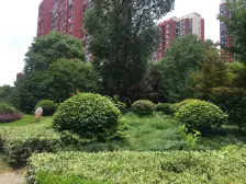 南翔 · 永翔佳苑(东区) · 1室 · 1厅