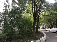 三甲新华医院+80%得房+40绿化+高区景观房