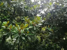 房型正气,南北通透,繁华地段,近商圈