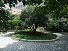 新地苑 3室1厅 南