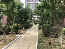 店长推荐 市区精品别墅 特大南北院