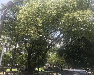 花园新村南区 东边套 户型方正 阳光充足