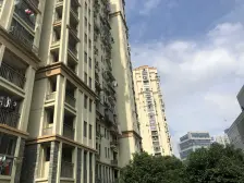 杨PU滨江内环内,次新小区高区景观板式住宅
