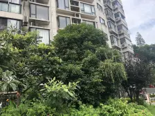 现代星洲城 3室2厅 南 北