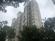 电梯房 精装,无抵押,必看好房