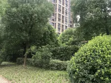 科技住宅 恒湿恒氧恒温 所见即所得 看房随时 诚意出售好聊