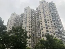 带产权车位, 品质物业 精装,无抵押,大平层 必看好房