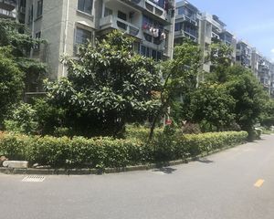 鹤池苑住宅小区3室1厅东南