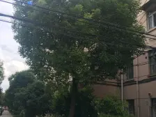 满五年,税费低,业主诚意出售,价格好谈