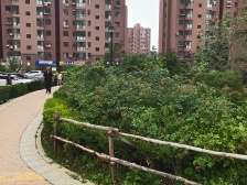 近华南,封闭小区,精装修两室。