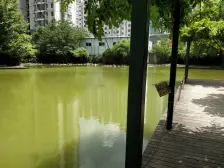 此房满五,南北通3房户型,采光无遮挡,通风效果佳。