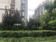 新上+三轨交汇+一梯两户+园林式社区+高利用率