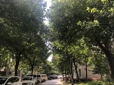 水月坊 1室1厅 东南