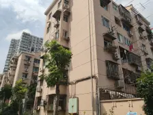 老年人的福音,一楼全明两房,户型正气采光全天刺眼可砍价