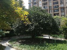 近地铁产权清晰,采光好,入住快急售房源
