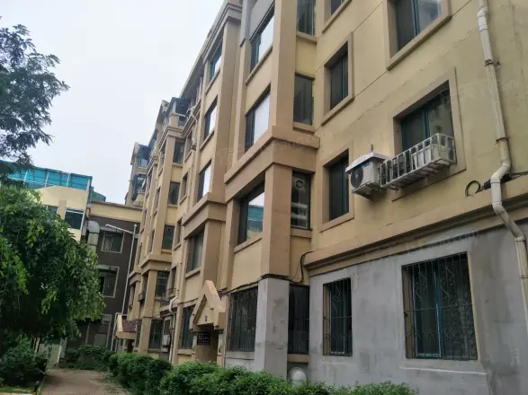 黎明西部风情