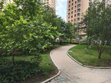 楼层好 采光好 视野好 继红一 楼盘位置好