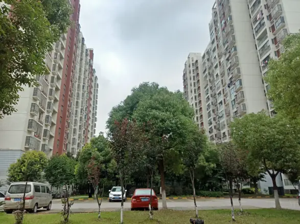 金筑家园