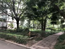 麒龙山水 3室1厅 南