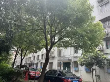 江桥·江桥二村四街坊·2室·1厅