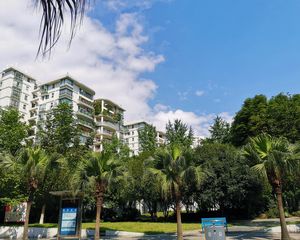 置信丽都花园D区 3室2厅 南