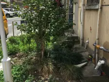 梅陇·三洲花园·1室·1厅