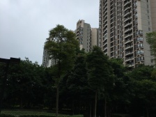 蝶花岸精装2房,保存完好,可领包入住
