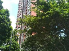 公馆四期《高层仰卧别墅 5+1大户置换优选》公园城馗边