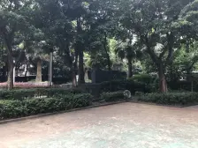 此房业主诚心卖,地理位置好,平时交通出行很方便