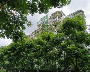 置信丽都花园D区 3室1厅 东南