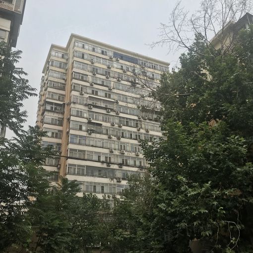 苹果园一区2室1厅1卫南朝向4100.00元/月出租