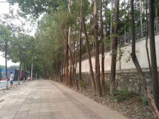 高层朝南,实用大平常,换房不可错过