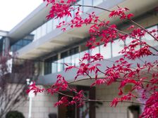 碧桂园上观 4室2厅 南