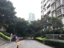 轻轨旁住家装修小三房 楼层视野开阔 采光好 看小区里