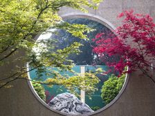 碧桂园上观 4室2厅 西北