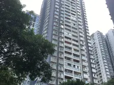 此房地段好,近三号线轻轨,视野好,户型方正