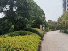 龙盘湖独栋湖景江景 别墅业主诚意卖,看房方便