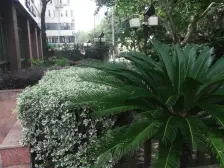 欧江大厦 4室1厅 东 北