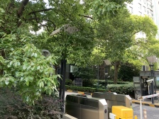 楼层好江景视野棒,格局好动静分离,休息娱乐互不打扰