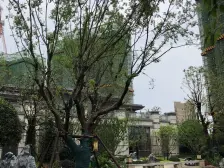 恒大林溪郡 140平大四房 带开发商精装