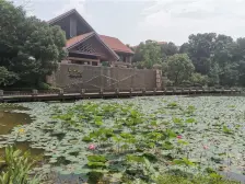 房屋满五年 毛坯,带车位, 带露台和小院子