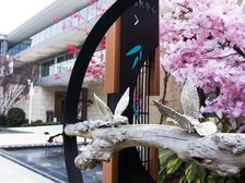 碧桂园上观 4室2厅 东