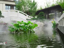 吾悦旁纯别墅区四季如春大城小院 春暖花开