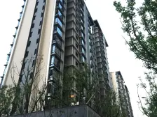 龙湖尘林间 4室1厅 东南