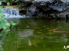 大城小院为数不多的洋房来了,精装四房带车位