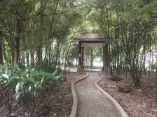 书香美舍 清水房 户型房子 交通便利