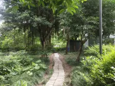 环线上精装一房,门口图书馆,三甲医院加持