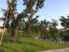 新上 类独栋 大花园 仅一套 业主诚心卖